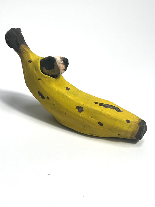 Buffoonery collection by Olivia Brown banana bully