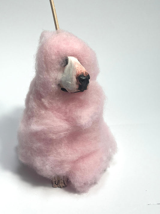 Buffoonery collection by Olivia brown - the bonfire night collection