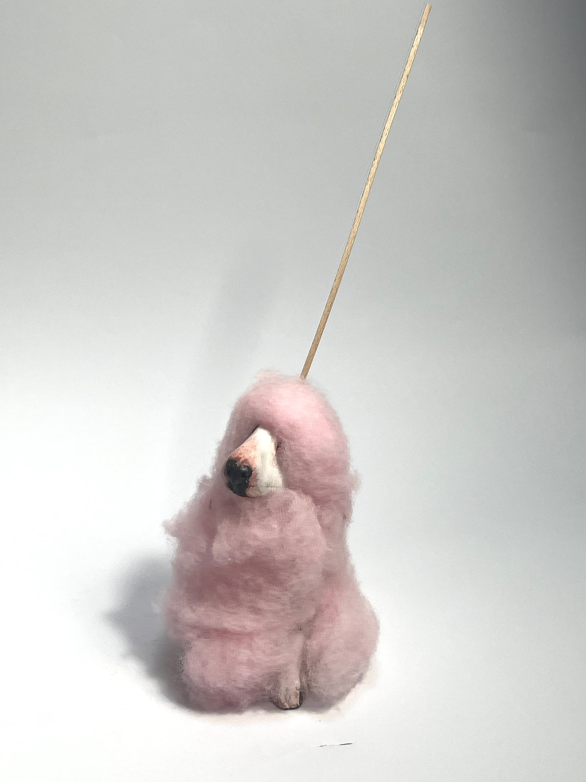 Buffoonery collection by Olivia brown - the bonfire night collection