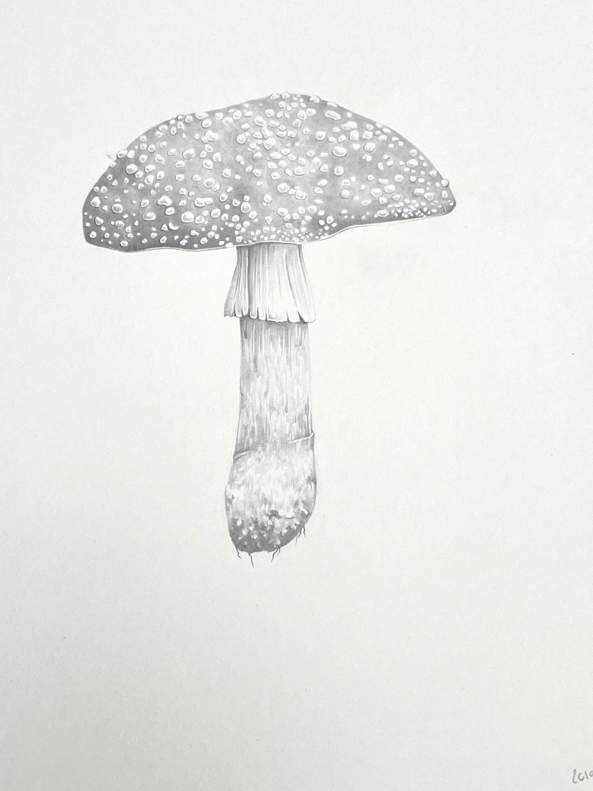 Lauren Fitton original artwork Fly Agaric