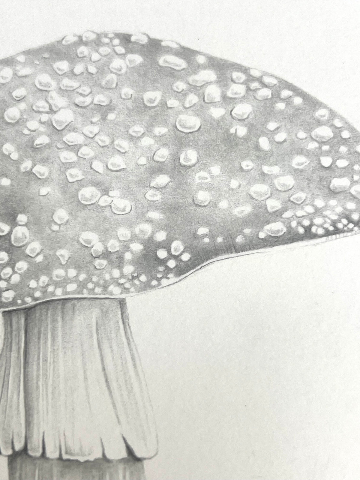 Lauren Fitton original artwork Fly Agaric