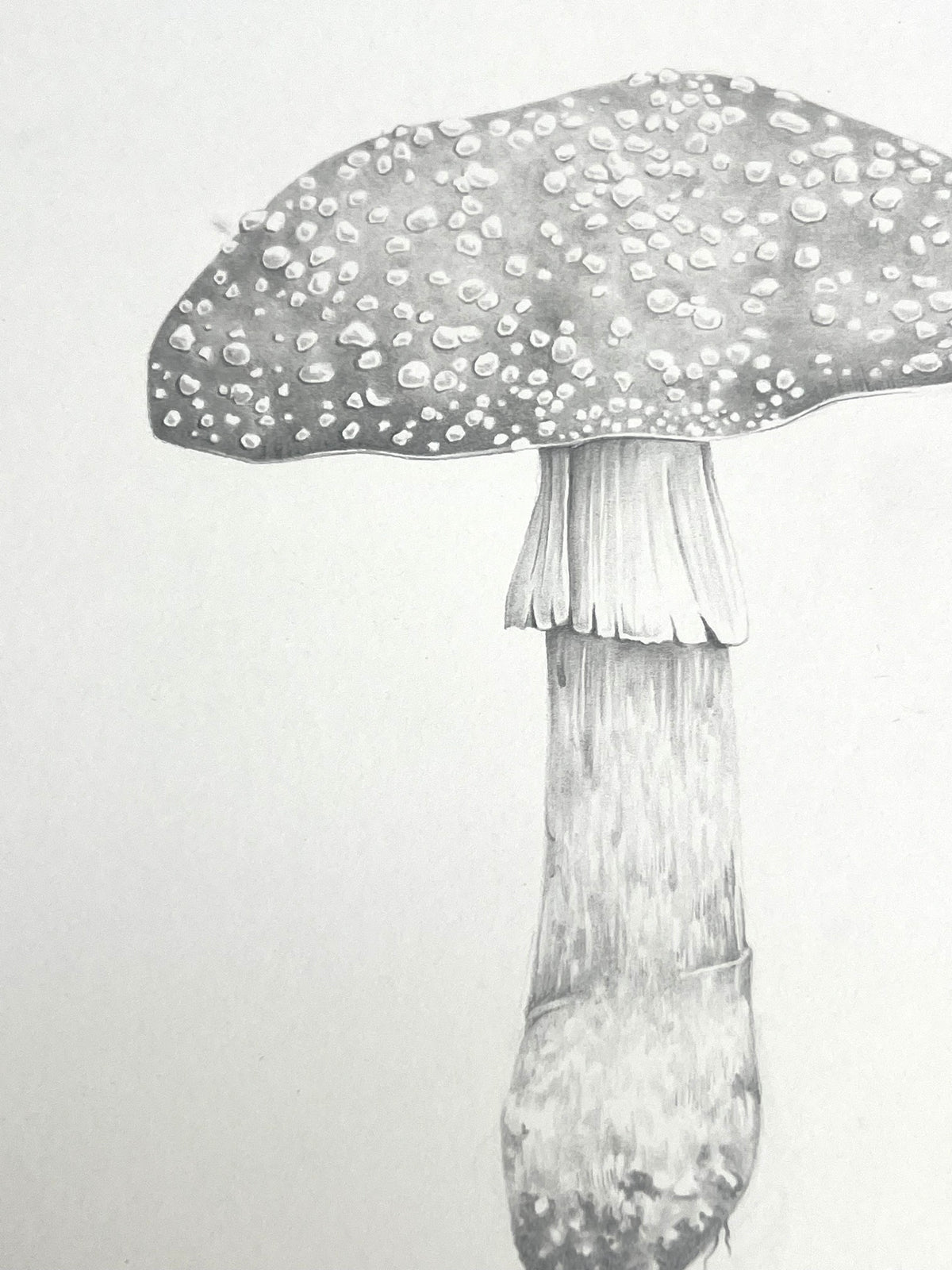Lauren Fitton original artwork Fly Agaric