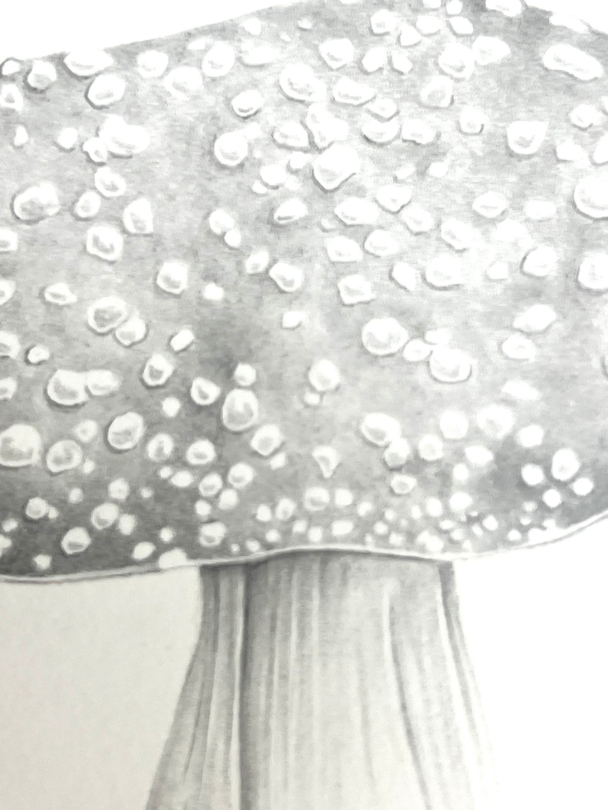 Lauren Fitton original artwork Fly Agaric