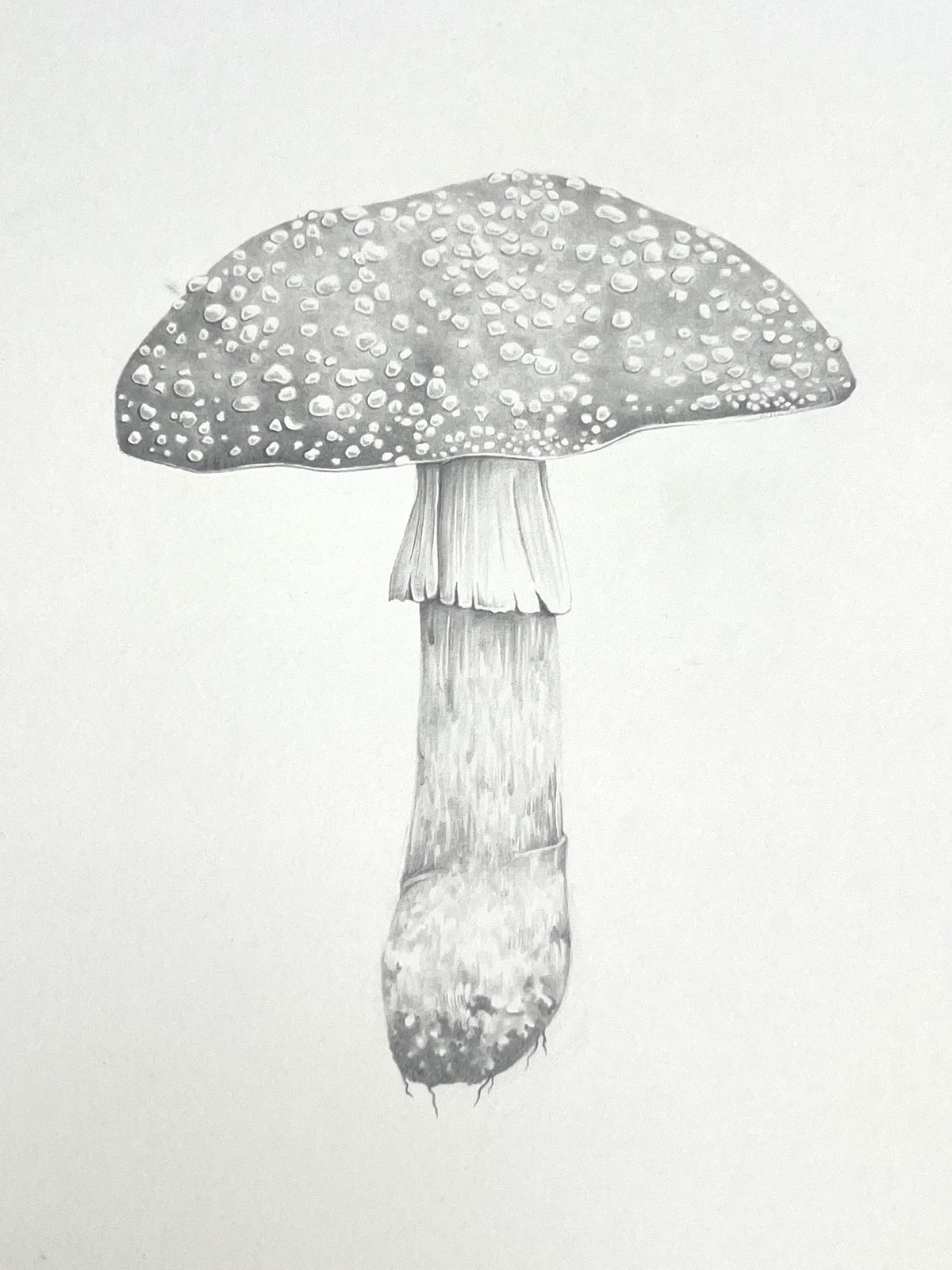 Lauren Fitton original artwork Fly Agaric