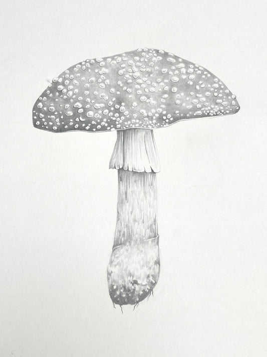 Lauren Fitton original artwork Fly Agaric
