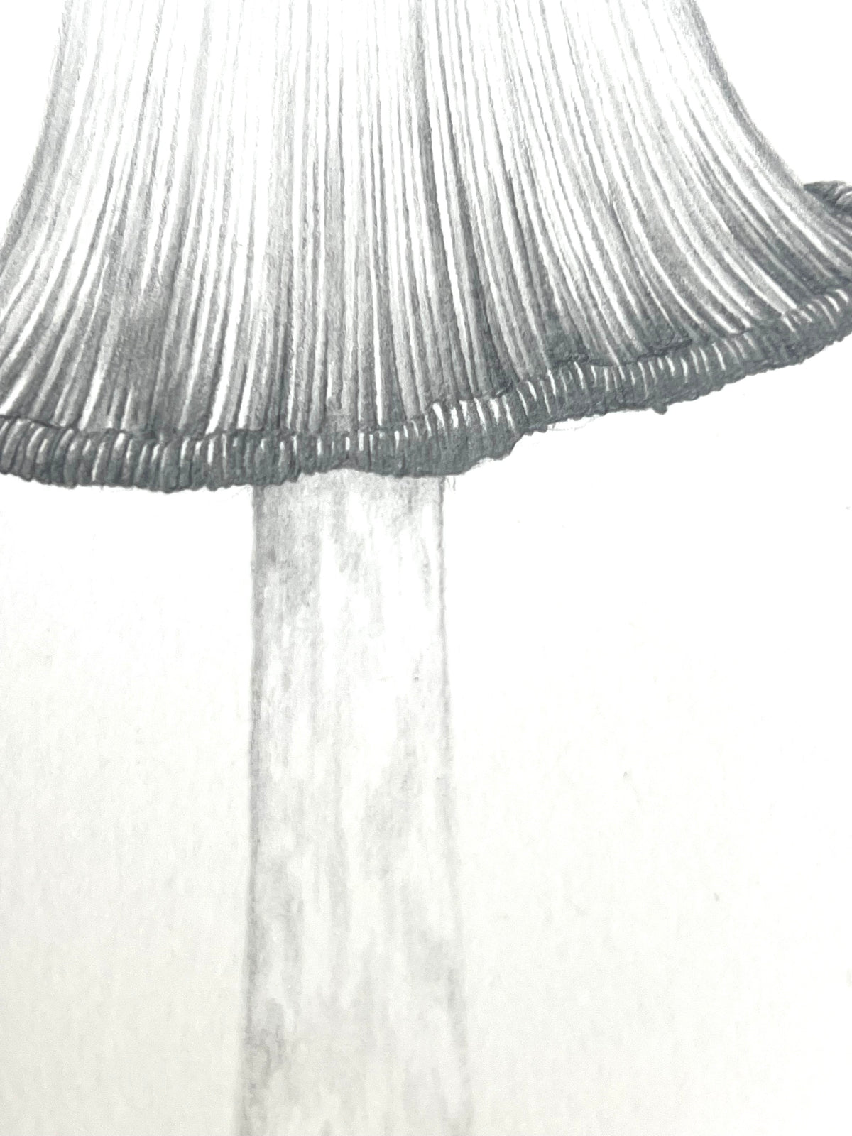 Lauren Fitton original artwork mushroom  drawing