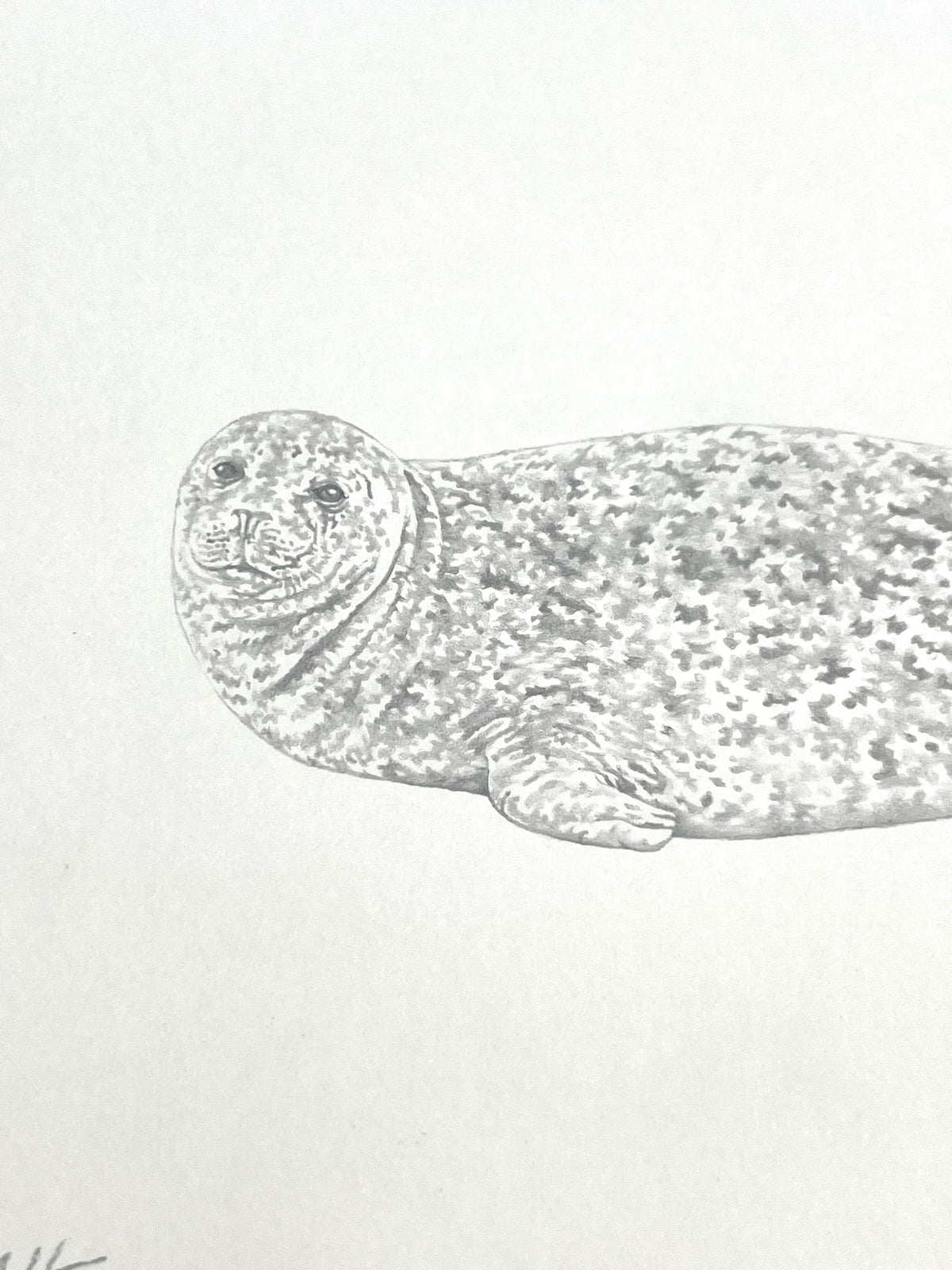 Lauren Fitton original artwork - seal