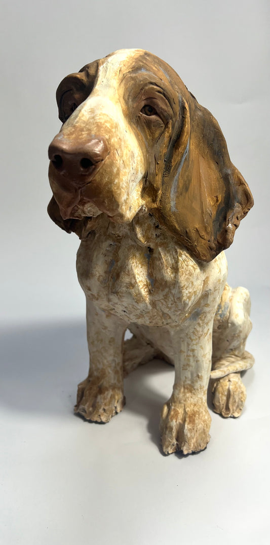 Bracco Italiano by Olivia Brown