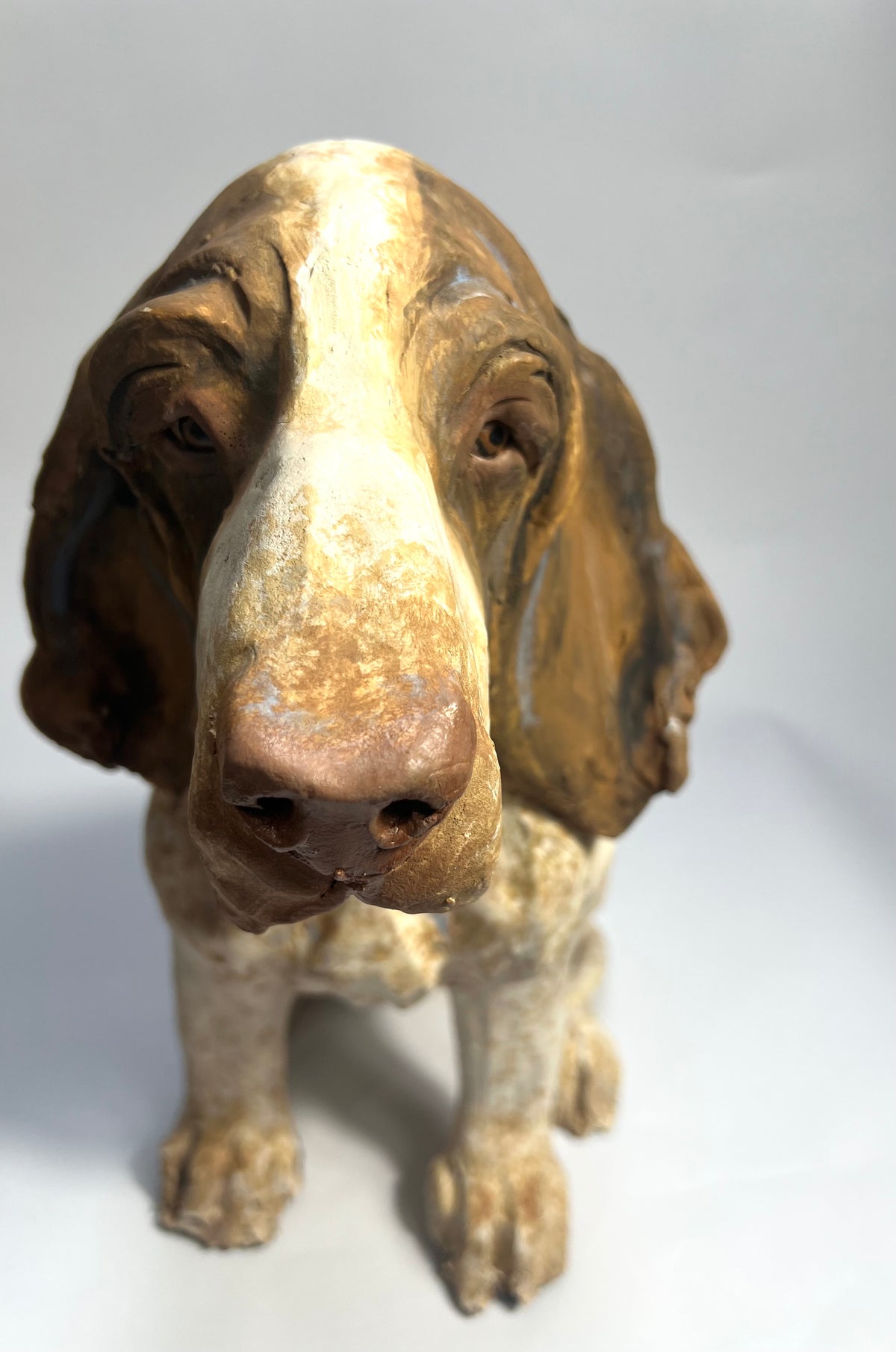 Bracco Italiano by Olivia Brown