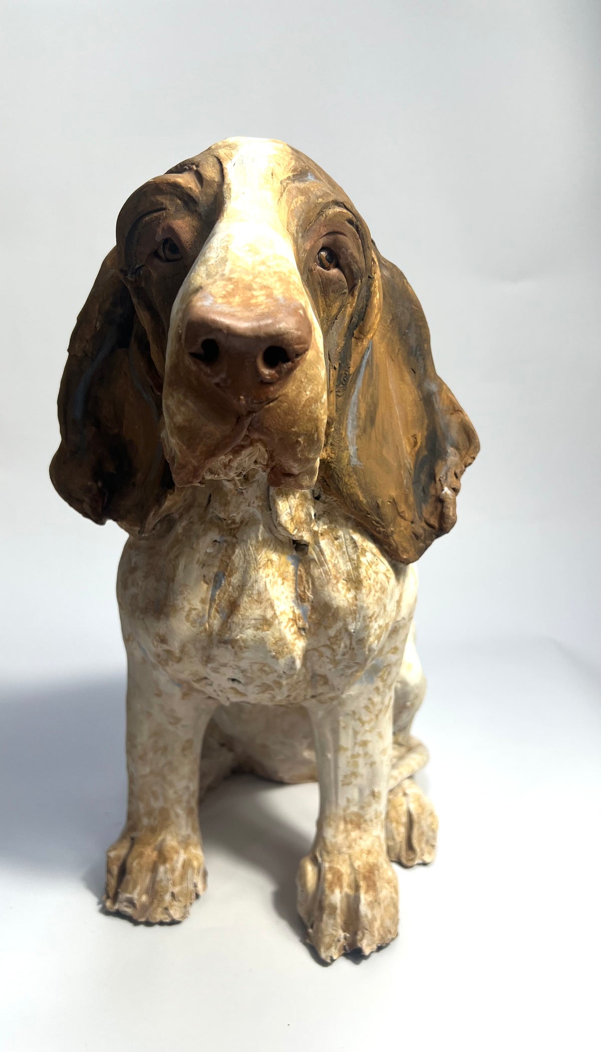 Bracco Italiano by Olivia Brown