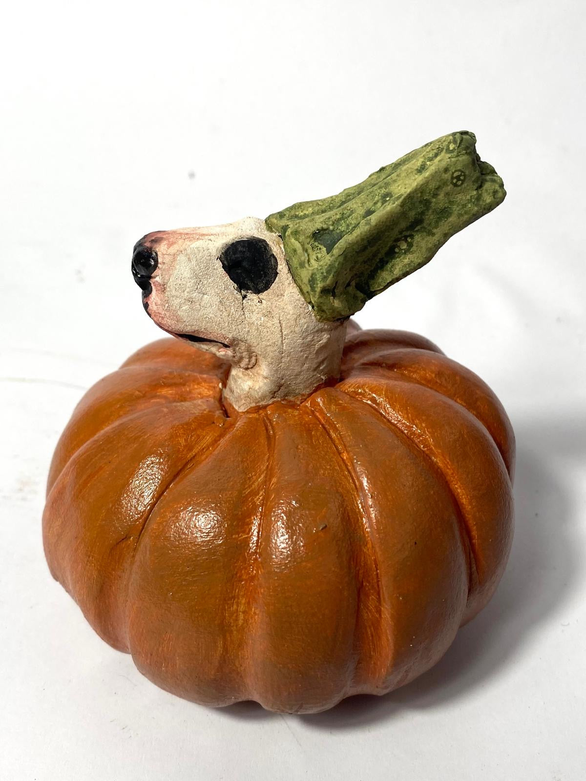 Pumpkin bully by olivia brown buffoonery collection