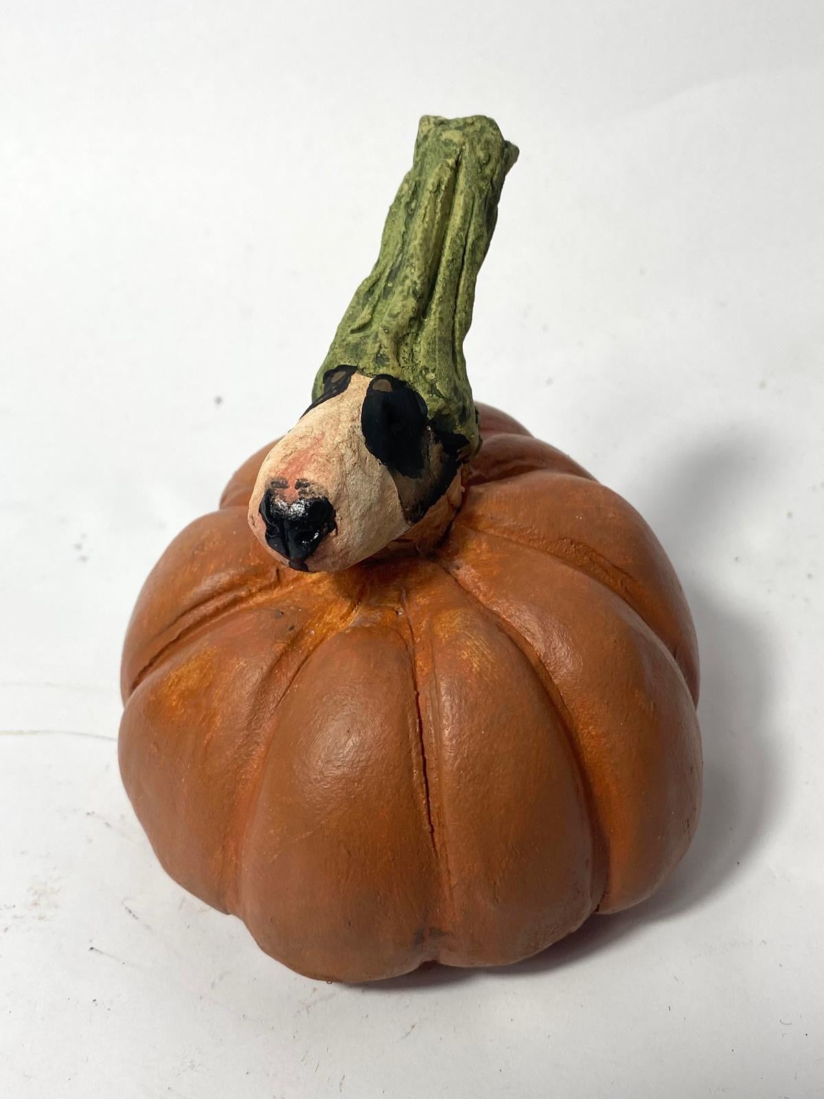 Pumpkin bully by Olivia Brown - buffoonery collection